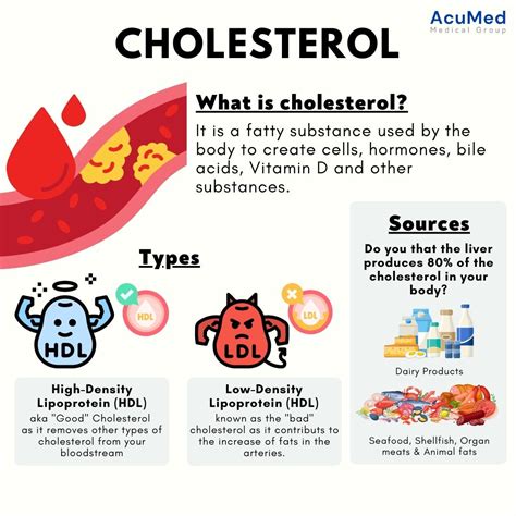 Sources of Cholesterol in Teenagers